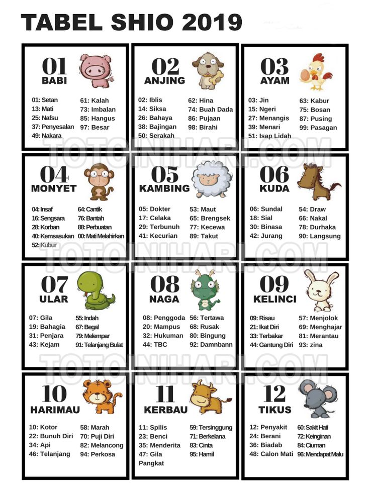 Bermain Togel Shio Menggunakan Buku Shio Togel