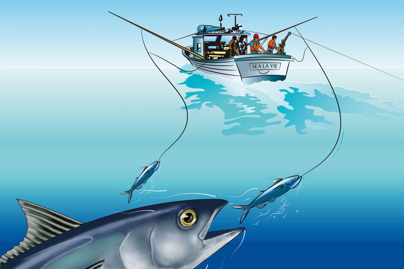 Aspek Emosional dan Spiritual